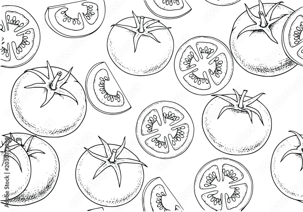 Obraz premium Tomato Vector Illustration with Sliced Tomatoes