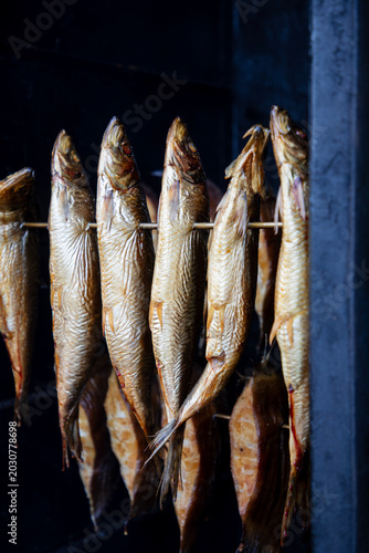 Fresh fish being smoked in the outdoor smoke house in Dziwnow in Poland
