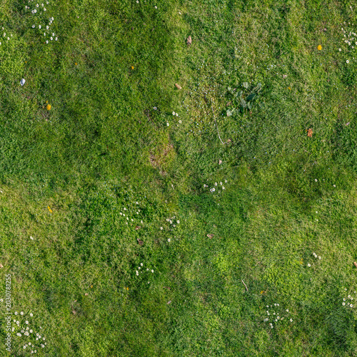 Photos Seamless Ground Texture with Green Grass, Moss and Small Pebbles