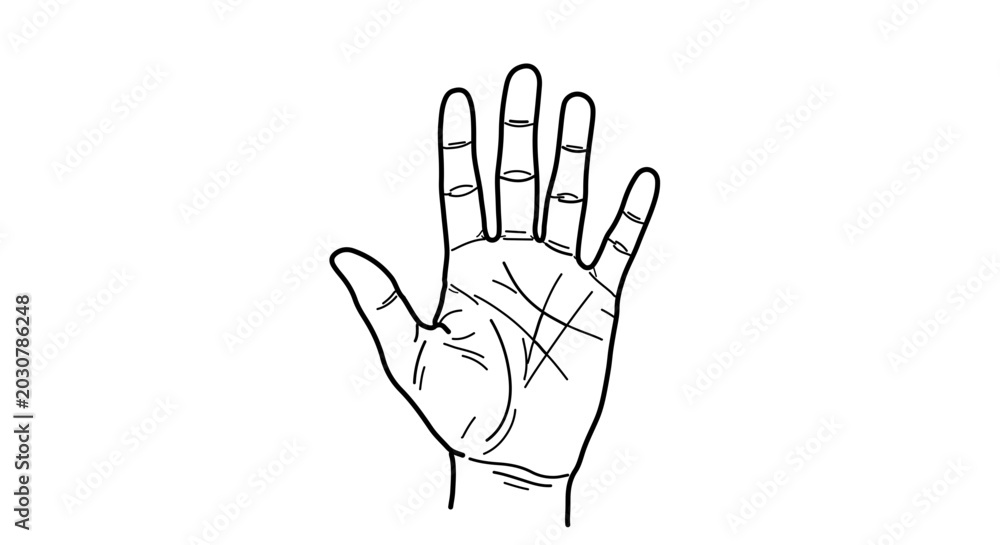 Fototapeta premium Palmistry hand drawing with lines on palm