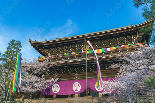 Tableau sur toile 国宝知恩院三門の春景色