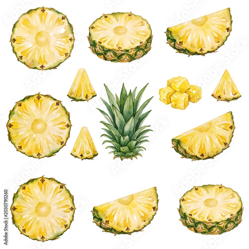 Fresh sliced pineapple and tropical fruits isolated on white background