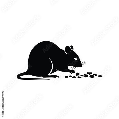 Photos Black silhouette of a mouse eating.