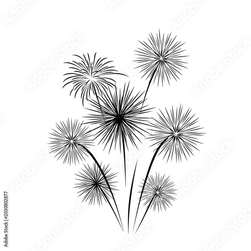 Schilderij op canvas Dandelion flowers in black and white.