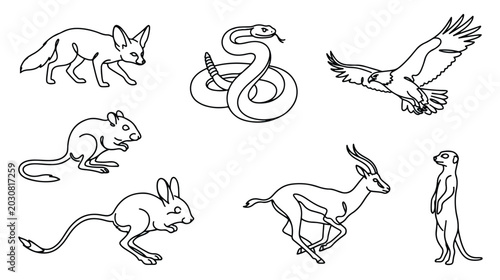 Quadro su tela Desert animals line art collection, minimalist wildlife vector set with fennec f