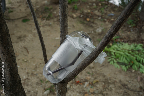 Canvas Print A disposable clear plastic drink cup is seen trapped in a tree fork against a di