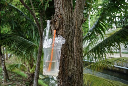 Photography A takeaway plastic cup with a straw sits forgotten in a carrier bag hooked onto a tree