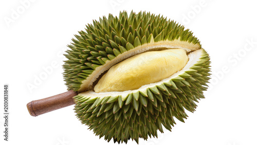 Bild auf Leinwand Durian fruit with open spiky green husk revealing creamy yellow flesh