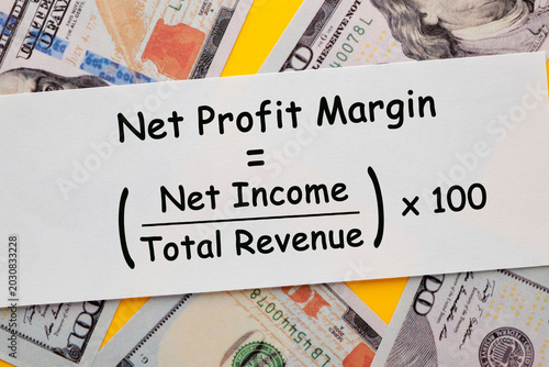 Net Profit Margin