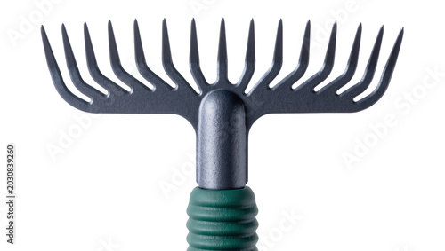 Tableau sur toile Handheld garden rake with metal tines and green handle