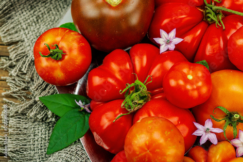 Photography Assorted homegrown heirloom tomatoes of various shapes, sizes and colors with sm