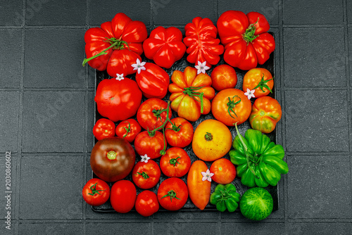 Photography Assorted homegrown heirloom tomatoes with small flowers on a dark textured squar