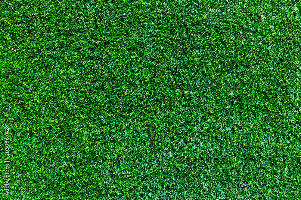 Fototapeta premium Green grass covering ground in even textured lawn closeup outdoor