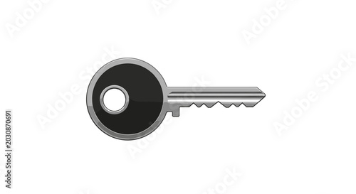 Schilderij op canvas A solitary metal key symbolizing access and security presenting a clear representation of unlocking opportunities solutions and the opening of doors to new possibilities for any digital project