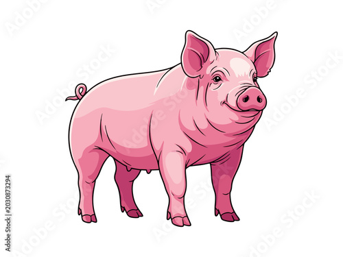 Cuadro en lienzo Vector illustration of a cute pink domestic pig standing on a white background