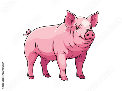 Tableau sur toile Vector illustration of a cute pink domestic pig standing on a white background