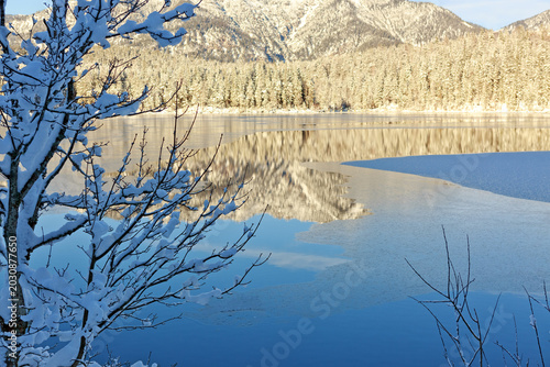Winter trees and mountain reflection in the lake