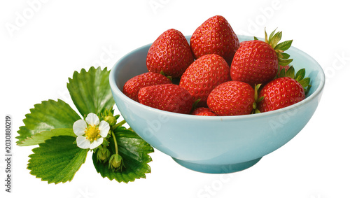 Fresh strawberries in light blue bowl with leaves and flower