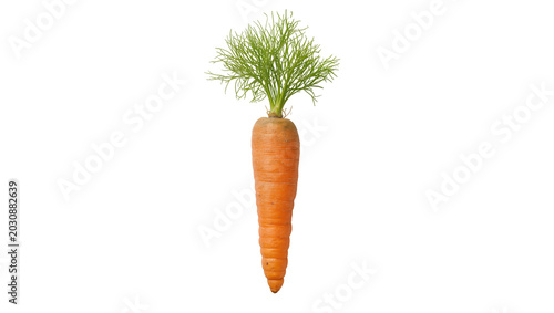 Fotografi Orange carrot with green feathery tops