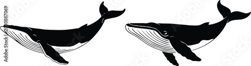 Tableau sur toile whale twin humpback facing each other symmetrical layout