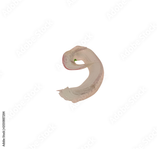 Curved banana peel with a unique, elegant shape
