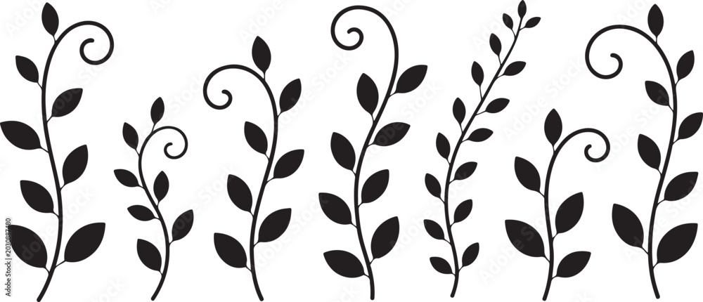 Fototapeta premium vine border vector with curling tendrils and alternating leaves
