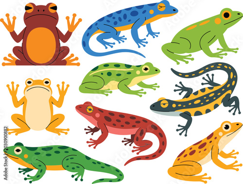 Colorful frog and salamander collection, cute amphibian cartoon characters, wildlife vector illustration set design