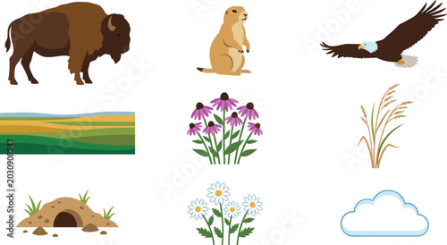 Bild auf Leinwand Prairie Wildlife and Nature Vector Set Featuring Bison, Eagle, Prairie Dog, Wild