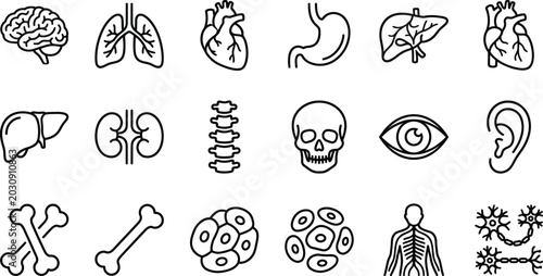 Foto Set of human anatomy icons, including internal organs, skeletal system, cells, a