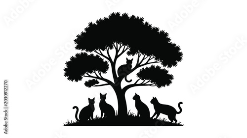 Fotografia Black silhouette of a wolf pack howling under a full moon in a forest