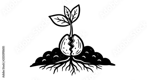 Photos Sprouting Seedling Emerging from Soil with Roots and Leaves, Growth Concept