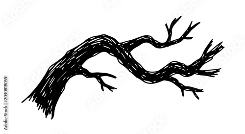 Fotografie Hand-drawn bare tree branch silhouette on white background, sketch style