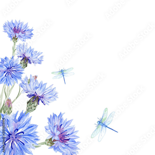 Floral with blue cornflowers and dragonflies watercolor corner frame illustration. Wildflower border template with copy space for summer elegant designs. Hand drawn botanical frame clipart.