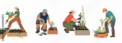 Schilderij op canvas Diverse set of people gardening, planting seedlings, and pulling weeds in raised garden beds, flat vector illustration isolated on white background