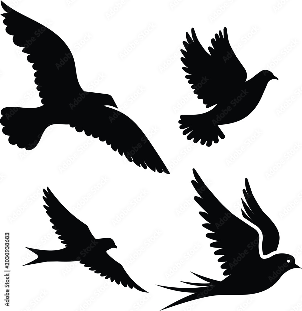 Fototapeta premium Set of bird silhouettes including dove pigeon swallow hawk seagull