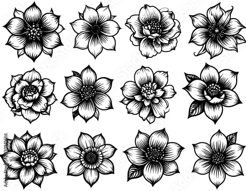 illustration hand drawn flowers set black and white