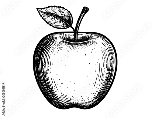 illustration hand drawn apple black and white