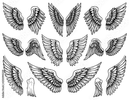 illustration hand drawn wings set black and white