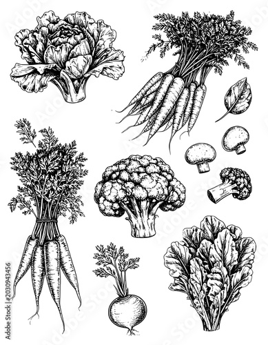 illustration hand drawn vegetarian set black and white