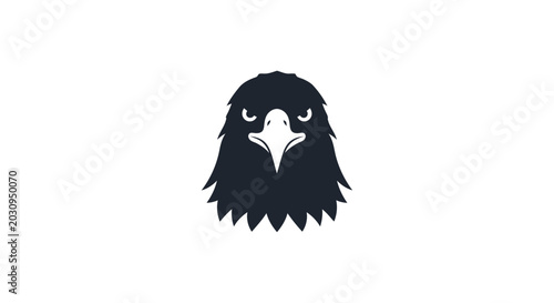 Photos Black Eagle Bird Head Closeup Portrait.