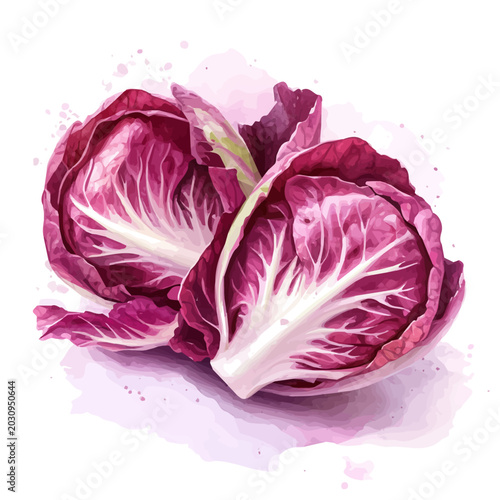 Tableau sur toile Radicchio watercolor painting, semi-realistic fantasy illustration, gentle magic