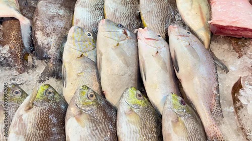 Fresh fishes displayed on ice in local supermarket. Various types of fish are displayed on the table for sale