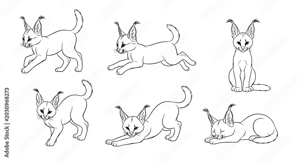 Fototapeta premium Set of cute Caracal kitten line art illustrations in various poses