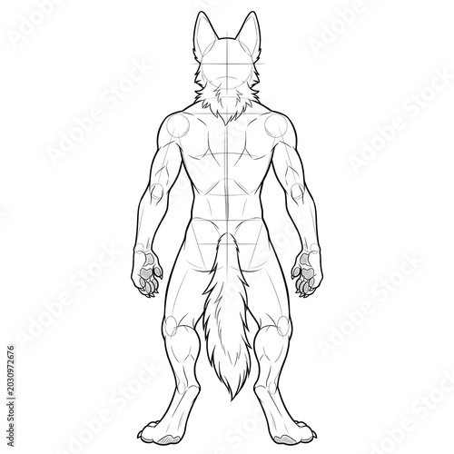 Hand drawn ink line art of muscular male german shepherd anthropomorphic furry base back view isolated.