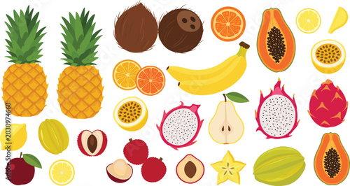 Canvastavla Fresh Tropical Fruit Vector Set Featuring Pineapple Coconut Banana Papaya Dragon