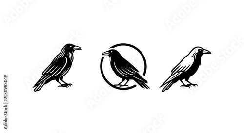 Three stylized black crow logo illustrations in monochrome.