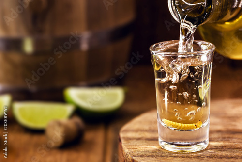Tableau sur toile MEZCAL Y TEQUILA BEBIDAS Y COCTELES