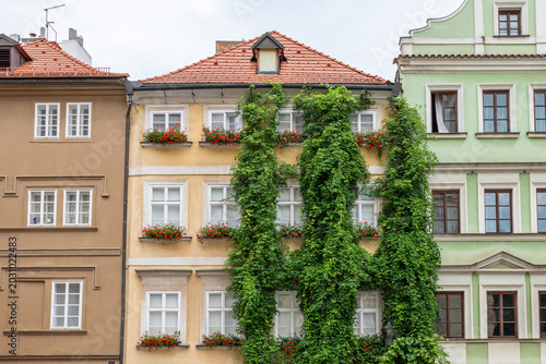 Photos Ivy-Covered Colorful European Townhouse Facades