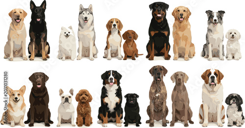 Photography Big collection of diverse popular dog breeds pairs golden retriever husky german