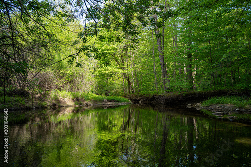 View of Claireville Conservation Area forest and river in Brampton.